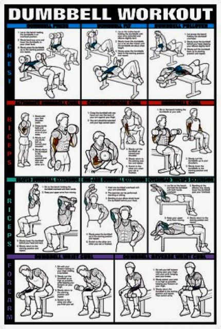 dumbbell exercises printable pictures